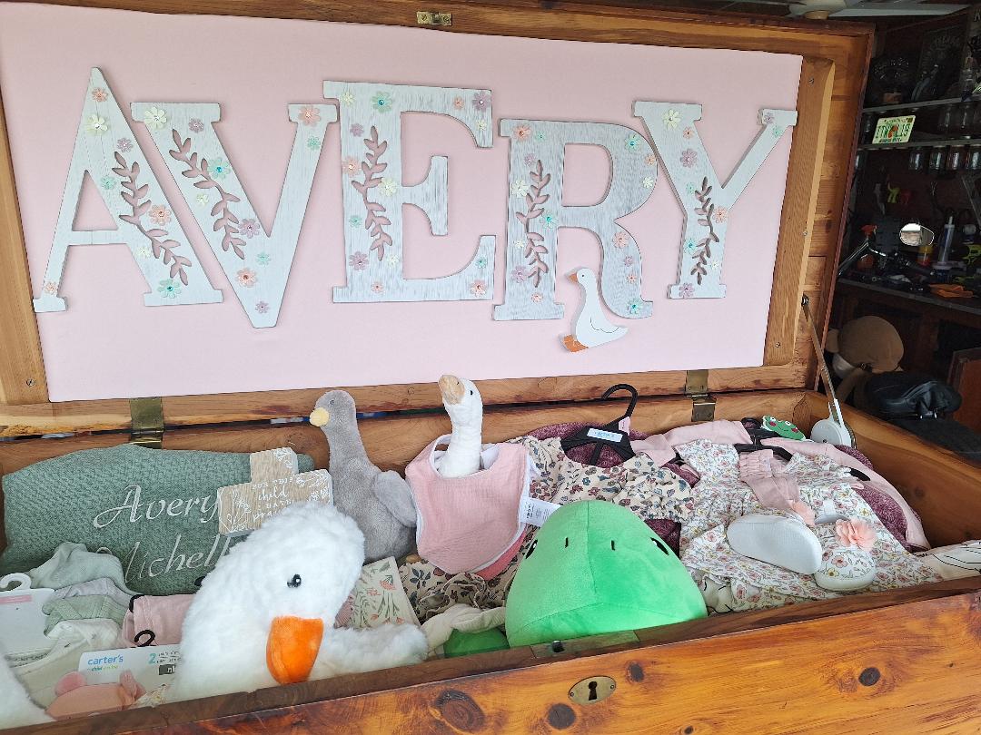 Gender reveal party. Added name to chest. 